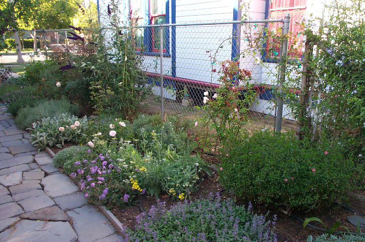 Garden_april_fromsouth_2