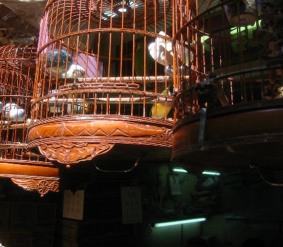 Birdcages_1