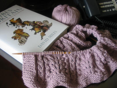 Ostrich_plume_third_try