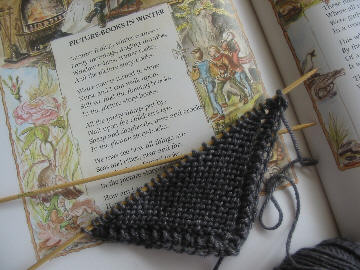 Starting_tasha_shawl