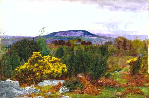 Williamsondanielalexander_conistonoldman