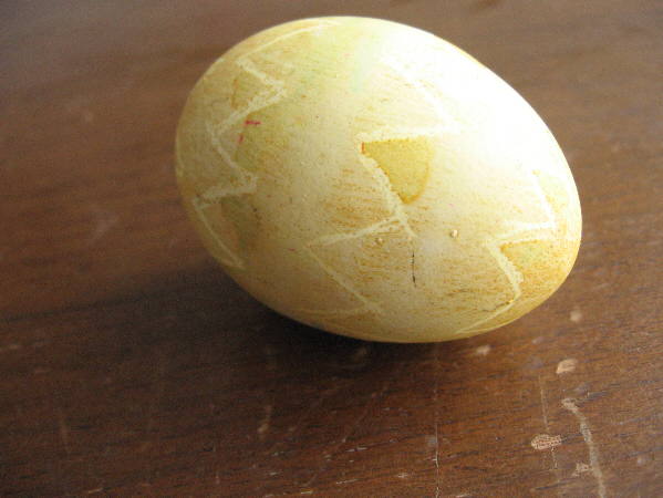 Egg1