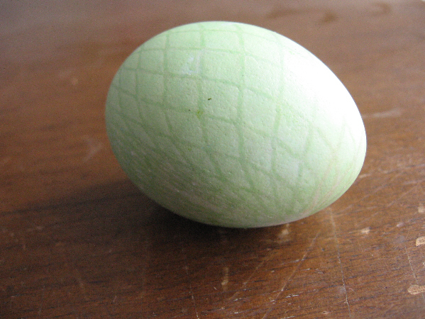 Egg5