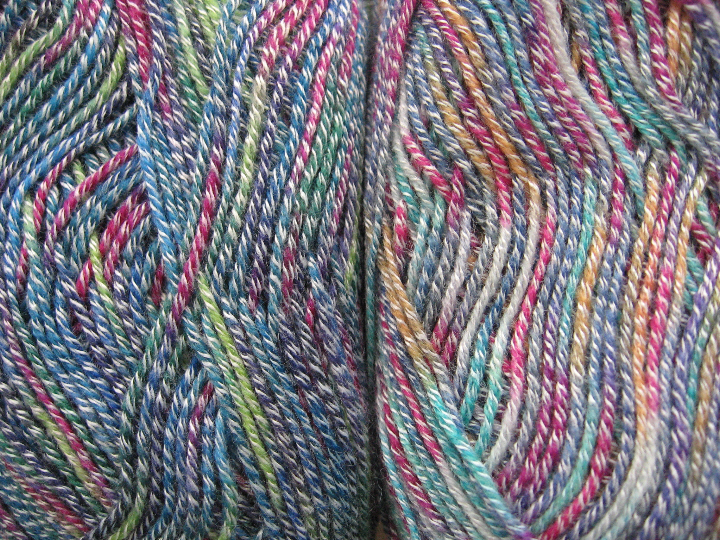 Regia-bamboo-jamaica-papillon Regia-bamboo-jamaica-papillon