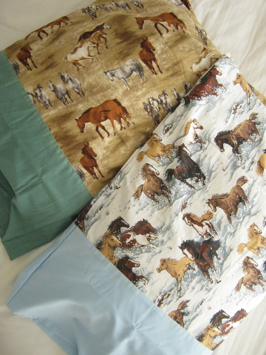 IMG_1242_small IMG_1242_small