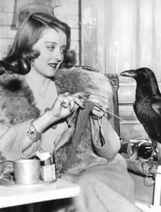 Knitting bette davis