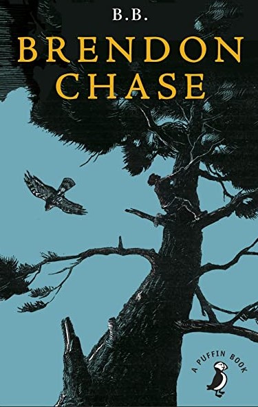 81JTtkJs8QL._AC_UL600_SR600 600_